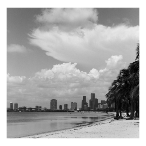 MIAMI SKYLINE 500x500 c -