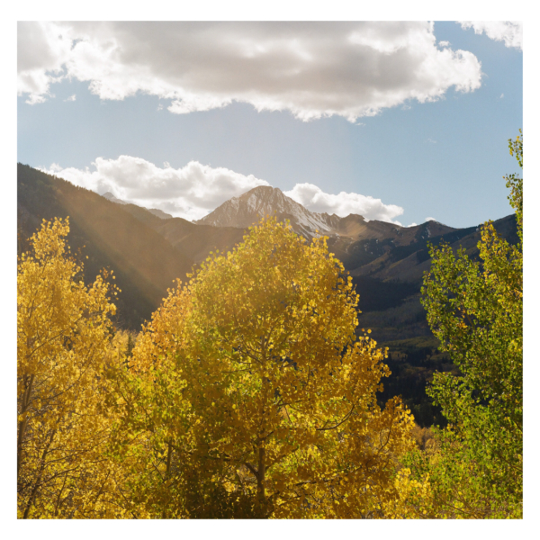 Daly Fall 1 scaled 600x600 c -