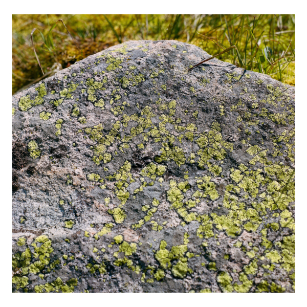 Sopris rock 1 600x600 c -